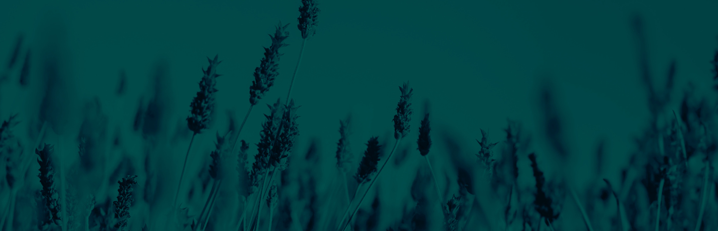 Lavender and sky with a green overlay effect. Russell-Cooke's domestic abuse hub header image.